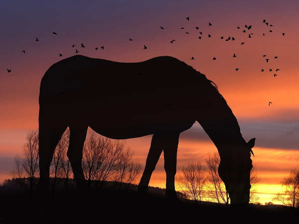 Editing Twilight Photos: How to Balance Warm Sunsets and Cool Shadows